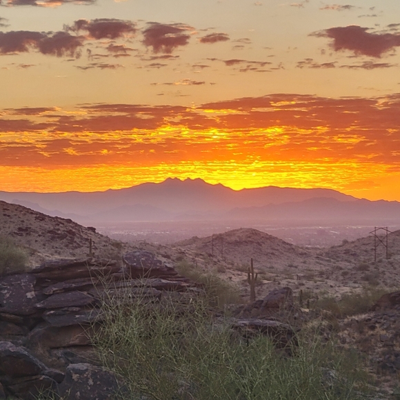 Meet your Posher, Mike - Picture 1 of 2